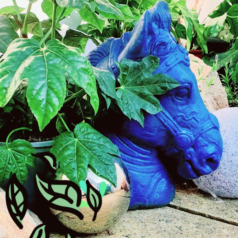 The New Blue Horse Suite At The Grumpy Schnauzer B&B Luxury Private Indoor Hot Tub Breakfast In Bed Airdrie Exteriör bild